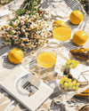 Fransk picknick