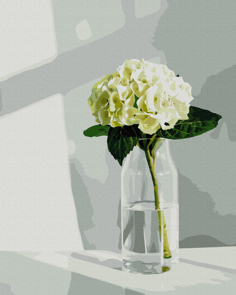 Hortensia